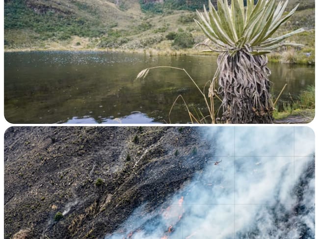 Dos imágenes que muestran el Santuario de Flora y Fauna de Iguaque antes y ahora.
