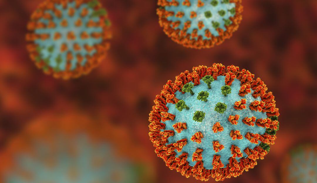 Influenza virus H3N2 