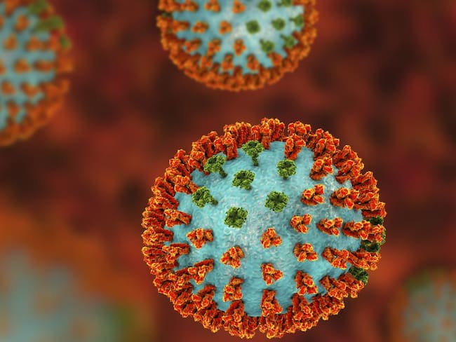 Influenza virus H3N2 