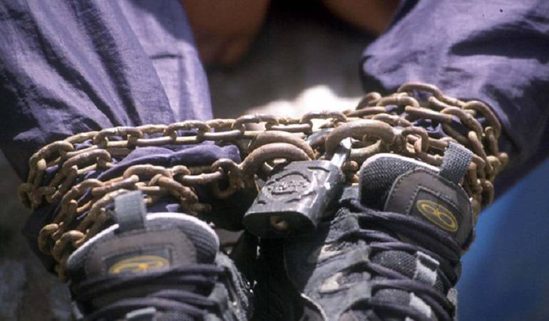 Imagen de referencia