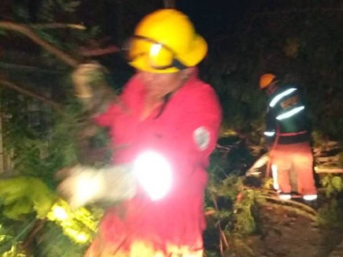 20 viviendas afectadas por vendaval en Andalucía