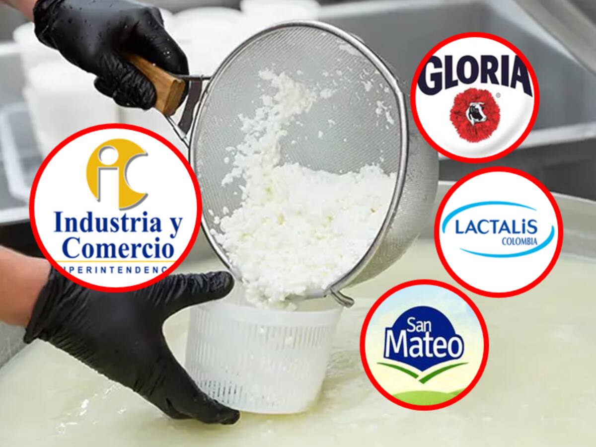 Estas son las 4 empresas lecheras a las que la SIC le impuso sanciones por adición de lactosueros