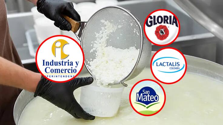 Estas son las 4 empresas lecheras a las que la SIC le impuso sanciones por adición de lactosueros