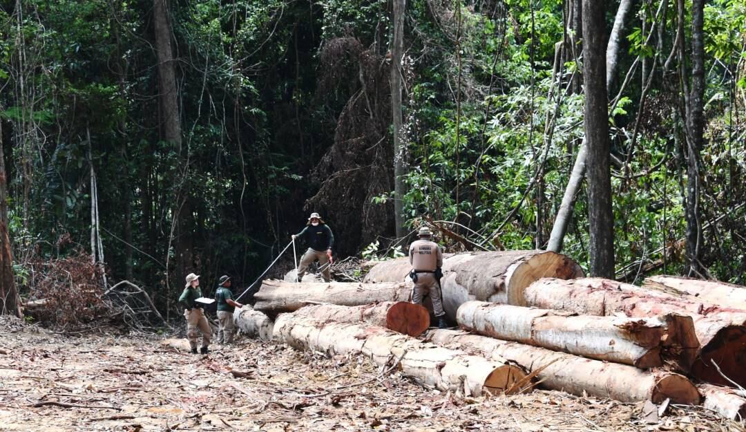 Deforestación en el amazonas brasileño.                            Foto: Getty