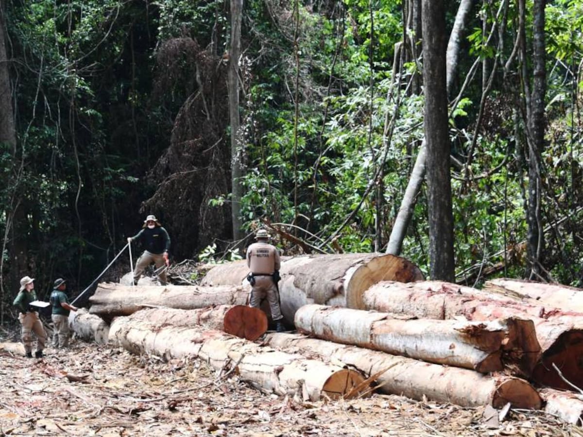 Brasil rompe un nuevo récord en la deforestación amazónica