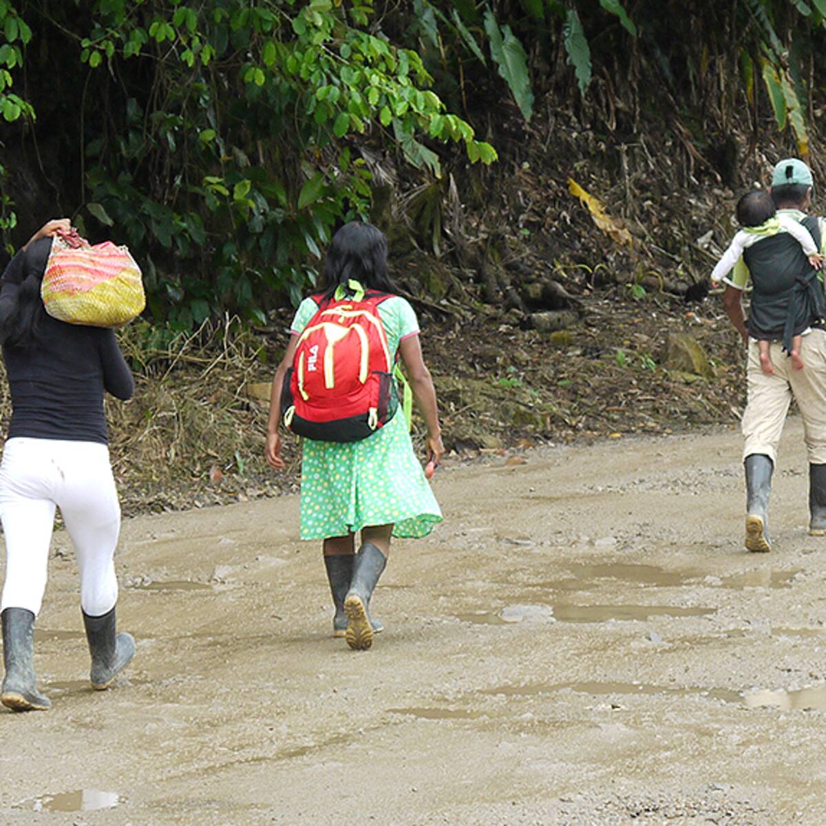 Desplazados de la violencia de Cauca, llegan a municipios del Huila