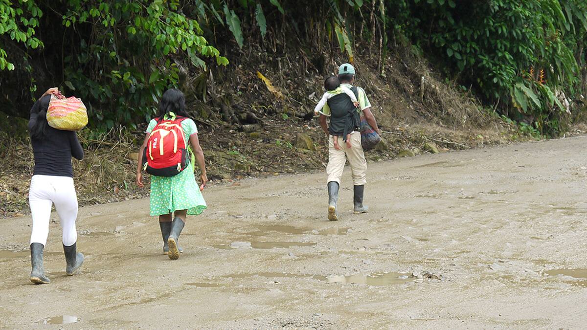 Desplazados de la violencia de Cauca, llegan a municipios del Huila