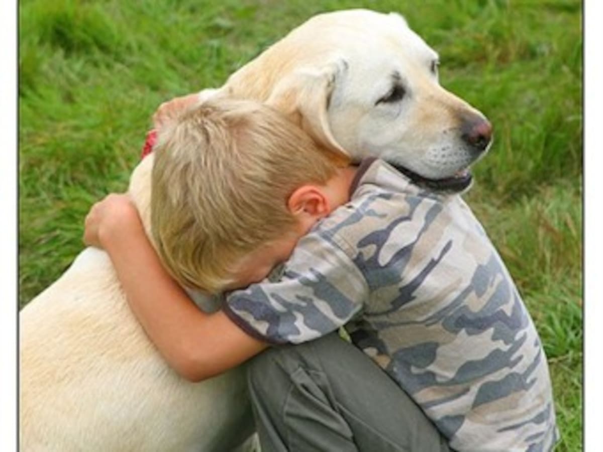 Se buscan voluntarios para la Travesía Canina