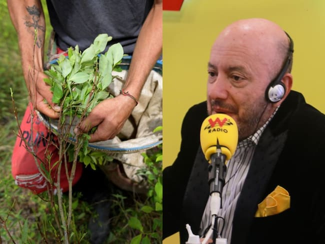 “Estamos como hace 30 años”: Julio Sánchez Cristo sobre erradicación de cultivos ilícitos