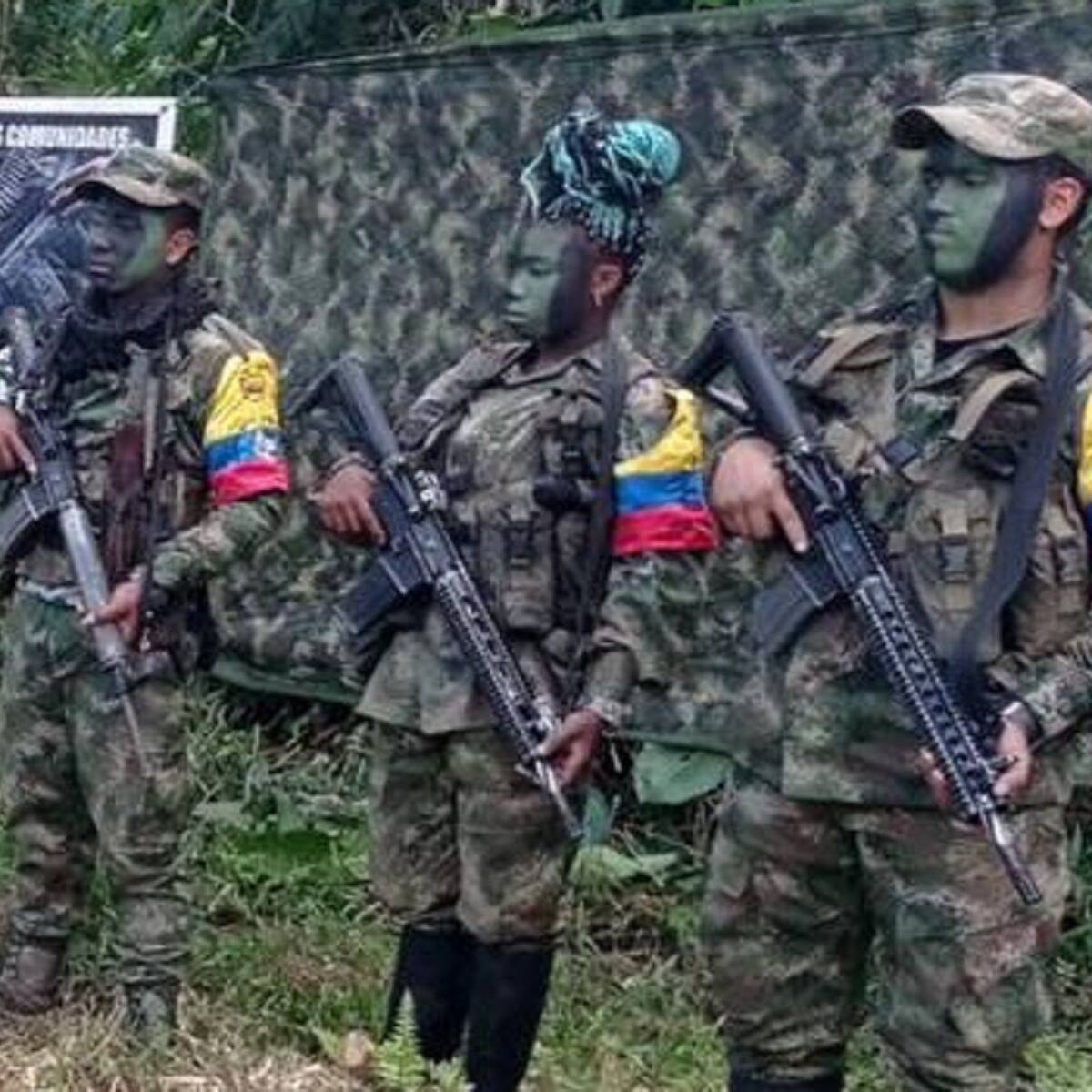 Combates entre Ejercito Nacional y disidencias dejan una menor muerta en el Huila
