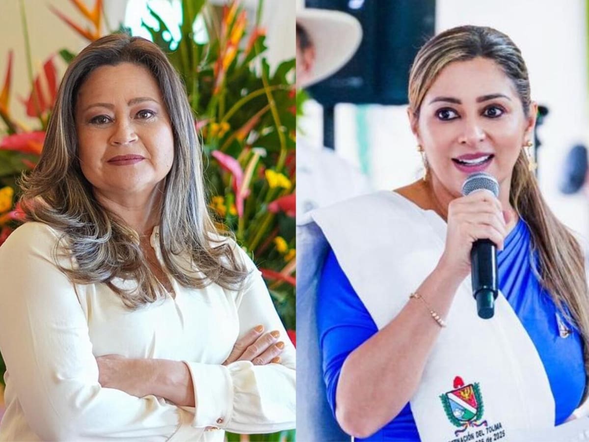 Gobernadora del Tolima culpa al Gobierno nacional por frenar obra vial de $40.000 millones