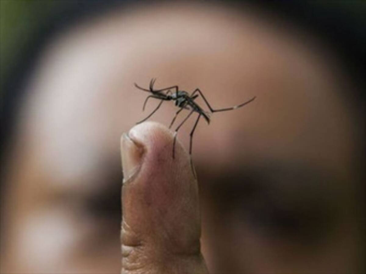 Medidas adoptadas frente al Chikungunya son deficientes: Centro Democrático