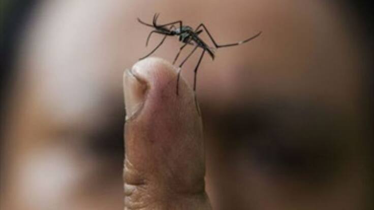 Medidas adoptadas frente al Chikungunya son deficientes: Centro Democrático