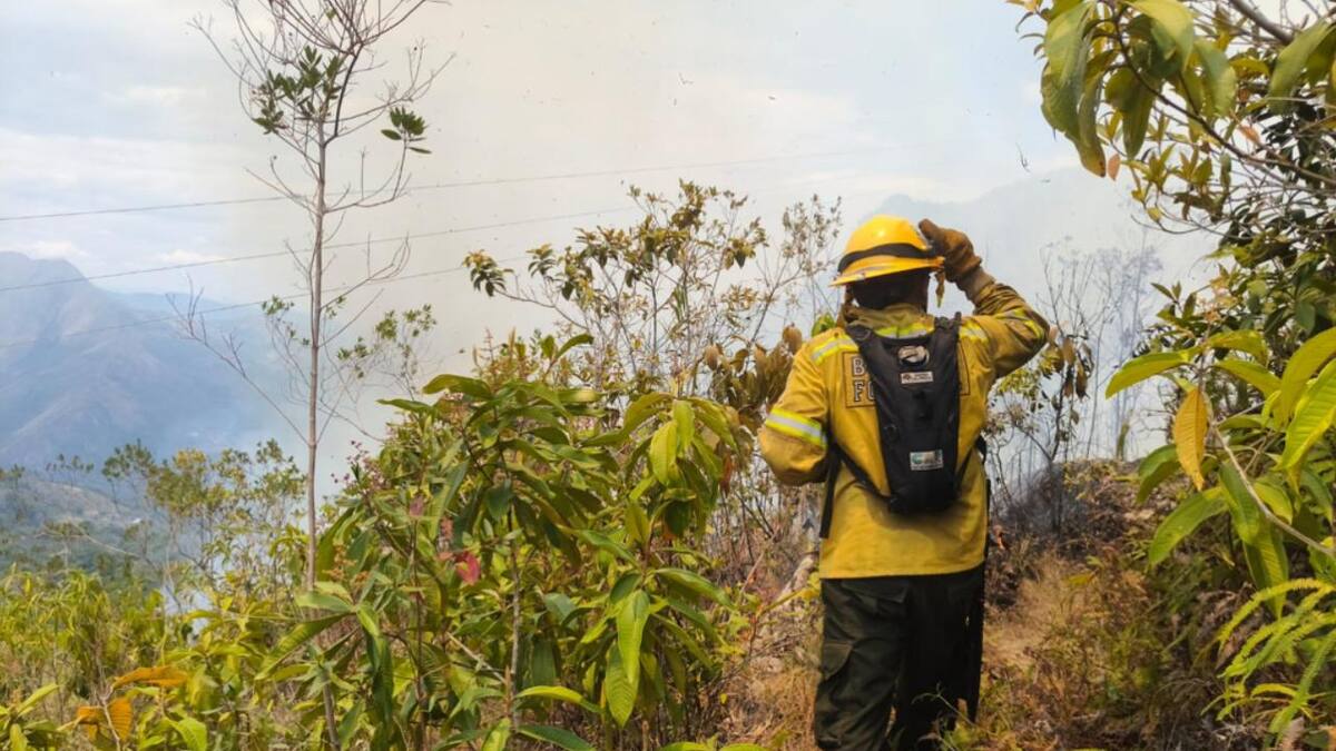IDEAM emite varias alertas en varios municipios de la Costa Caribe por posibles incendios forestales