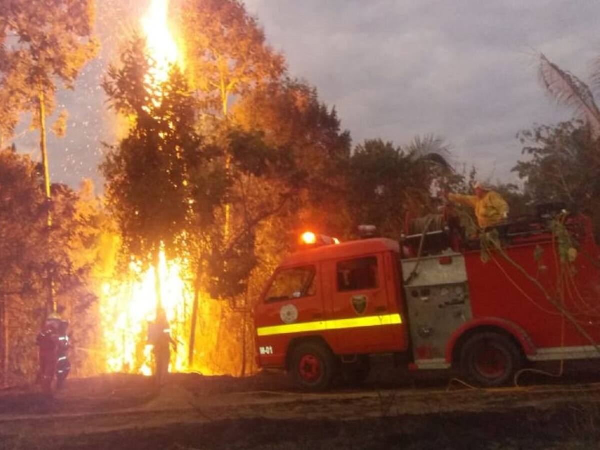 Incendios forestales no dan tregua en Tolima