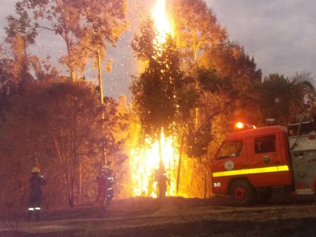 Incendios forestales no dan tregua en Tolima