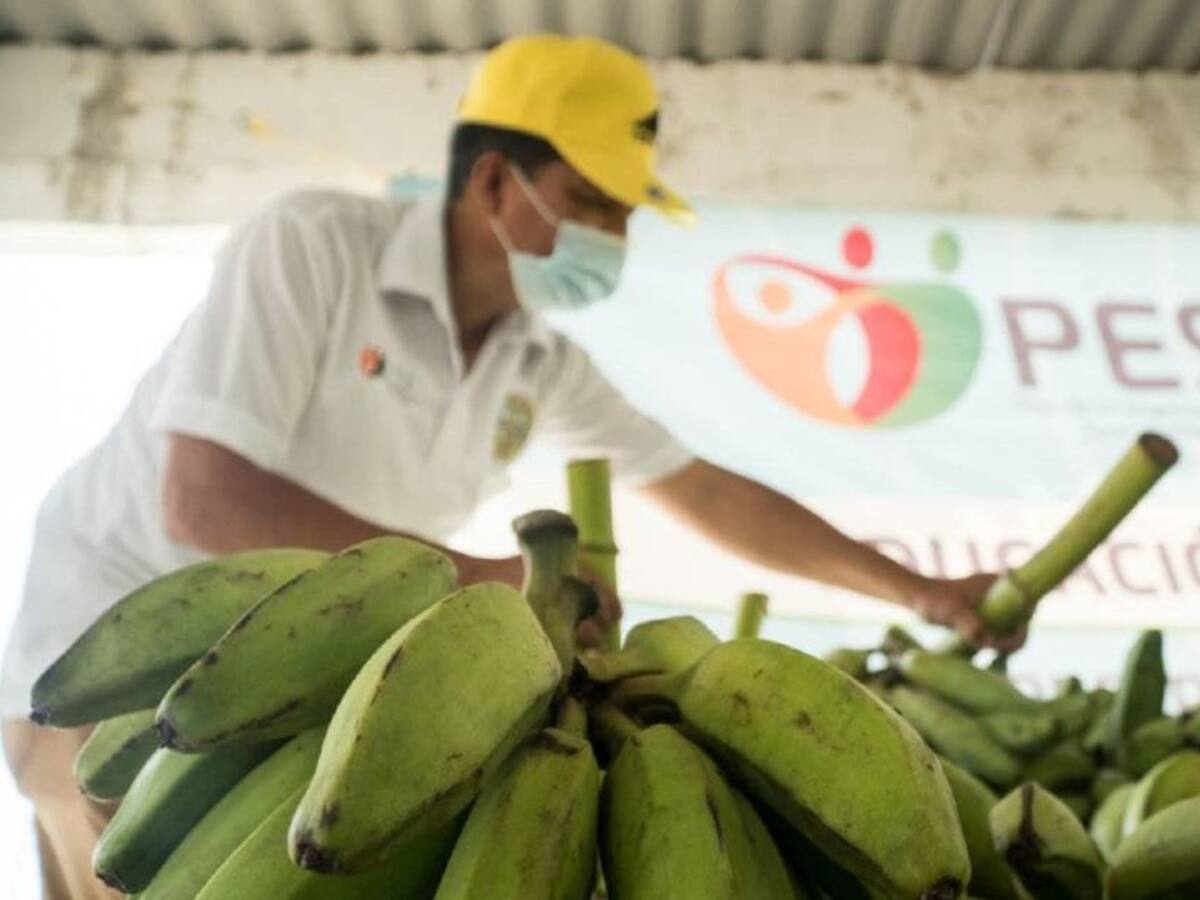 Mercado Móvil Campesino se tomó a Villas de la Candelaria en Cartagena