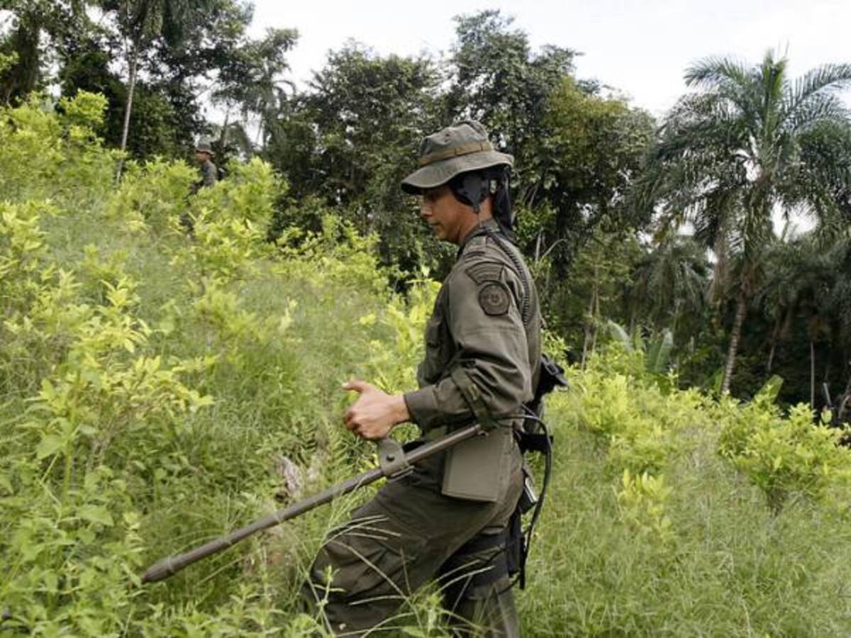 Colombia ha declarado libres de minas a 175 municipios