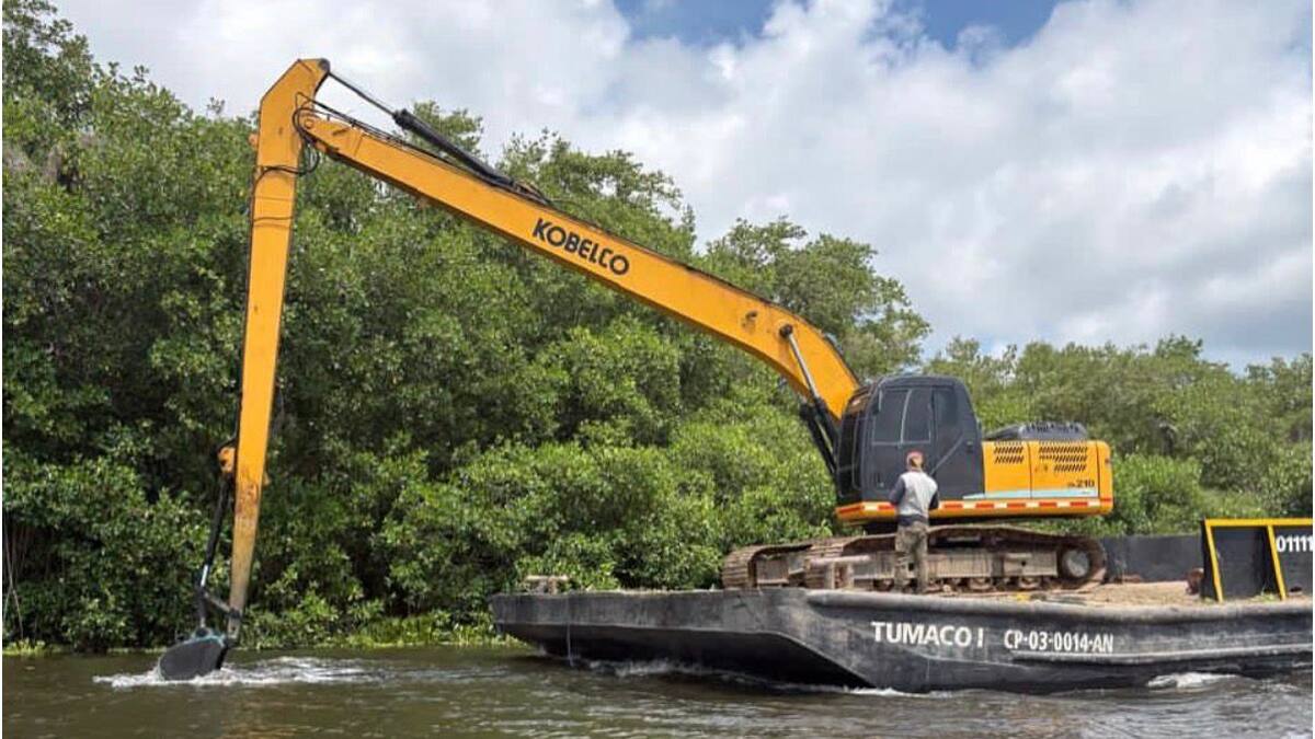 Mesa Técnica Nacional definirá hoja de ruta frente a la amenaza de la Hydrilla en la Ciénaga Grande