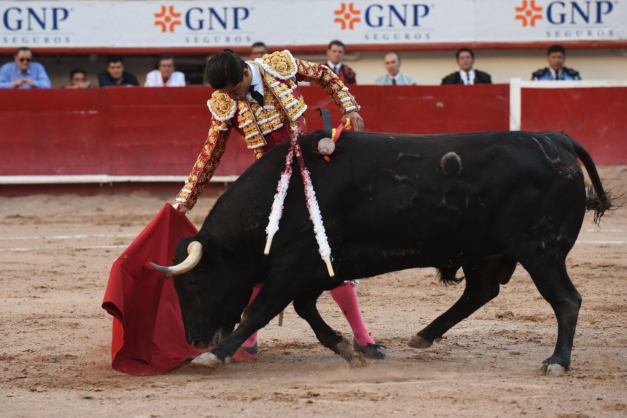 El torero mexicano Luis David Adame durante una corrida de toros en la plaza Monumental en Aguascalientes (México). EFE/Tadeo Alcina