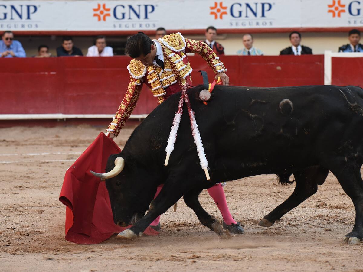 Corridas de toros: ¿En qué países es legal aún esta práctica?