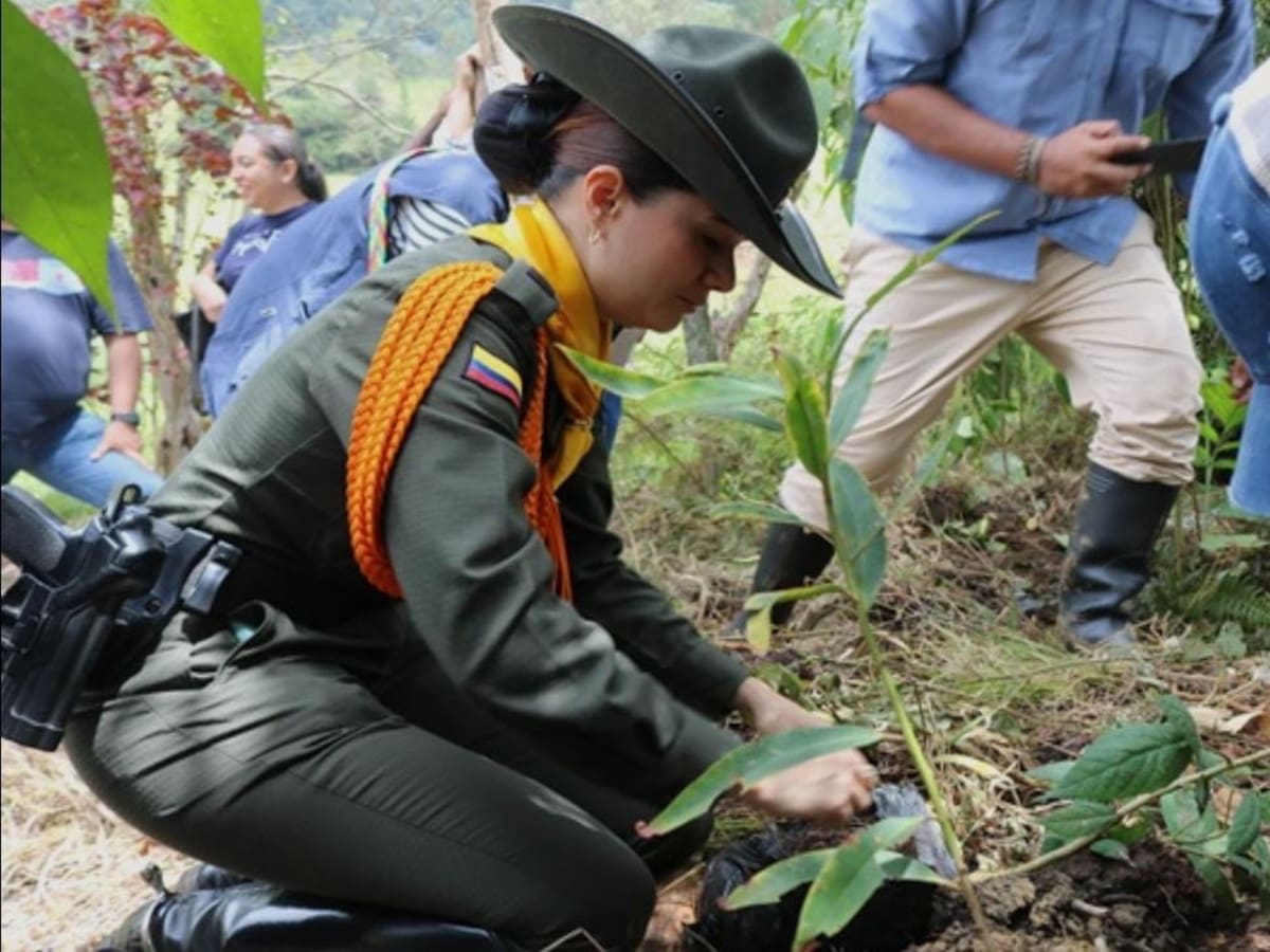Carabineros sembraron árboles en zona rural de Arjona para proteger el medio ambiente