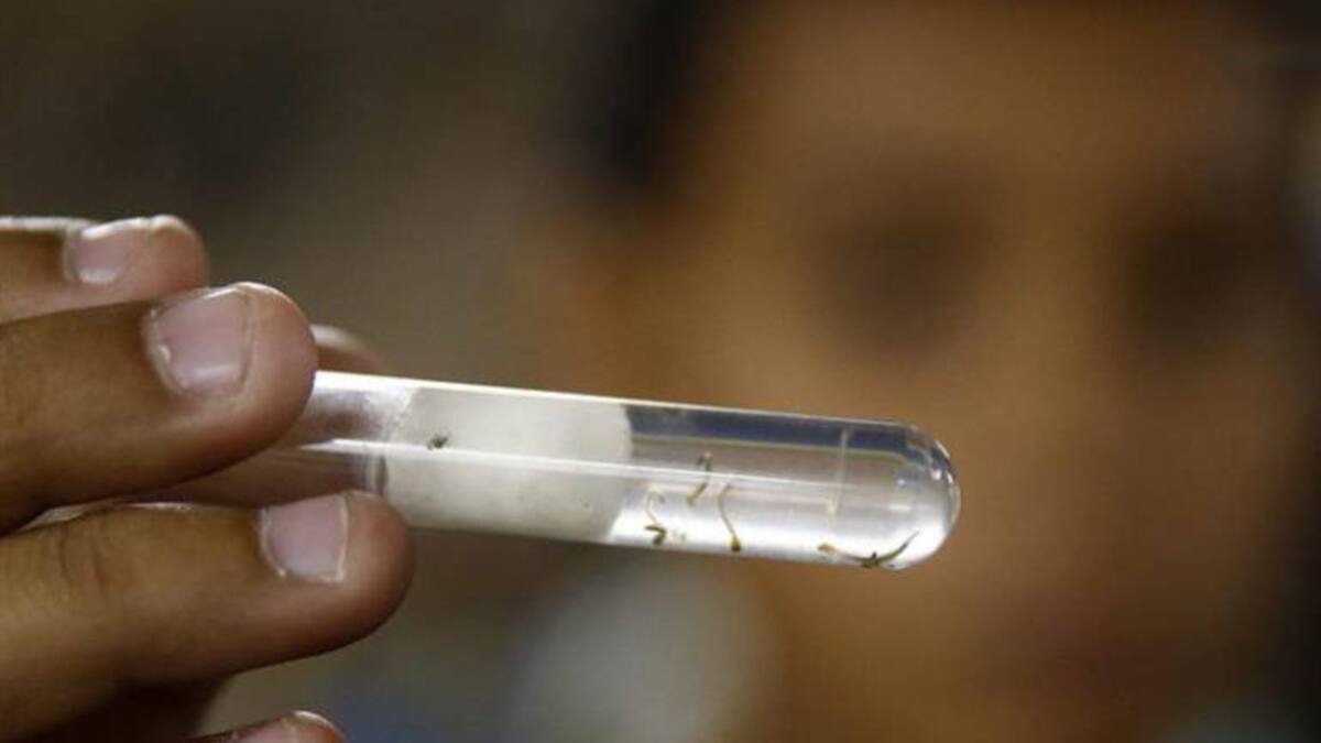 Alejandro Gaviria, Ministro de Salud y Protección Social