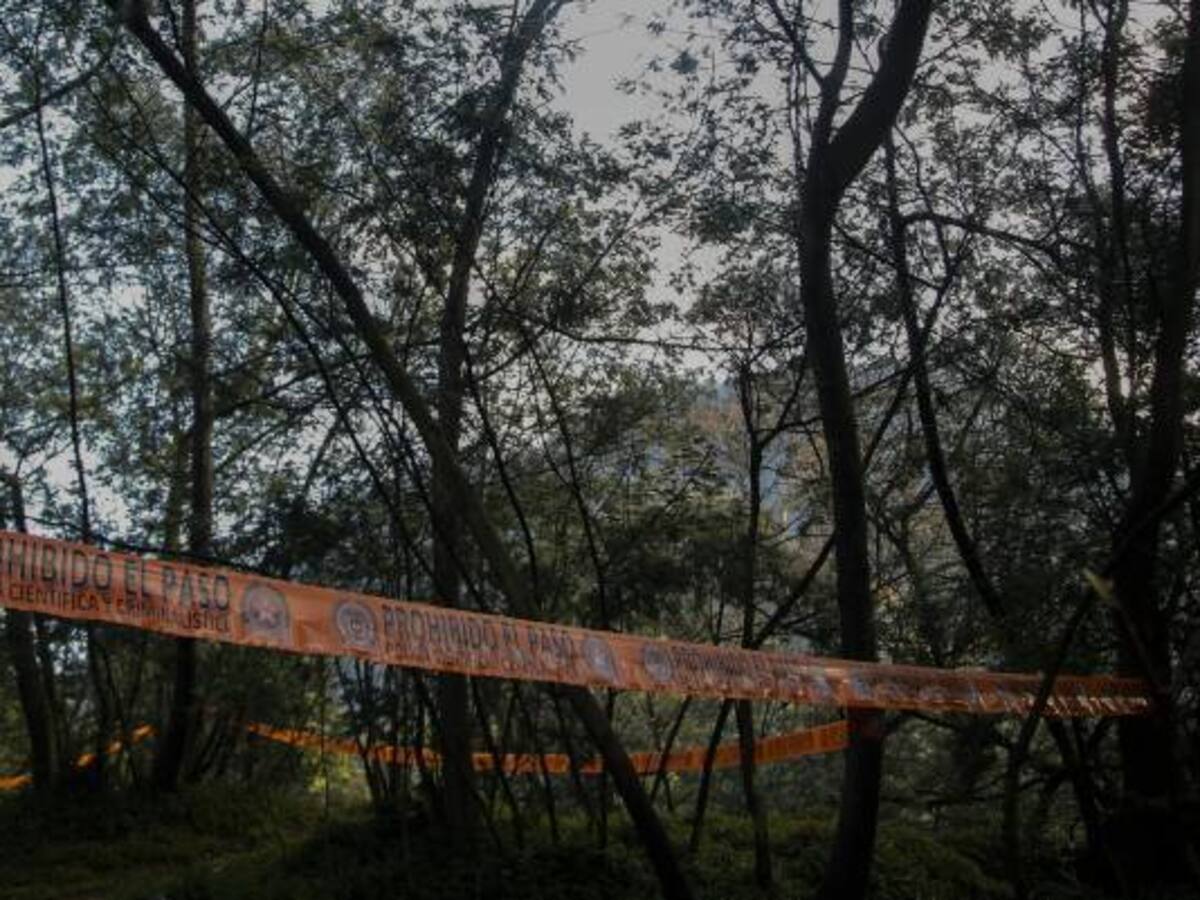 Al menos seis muertos tras enfrentamientos armados en Cauca