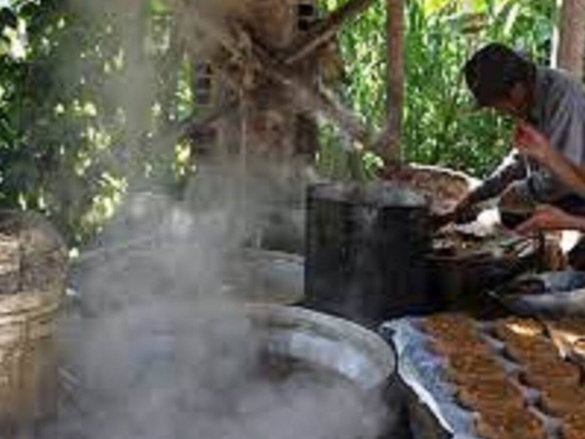 Lluvias afectan en el Huila el precio de la Panela