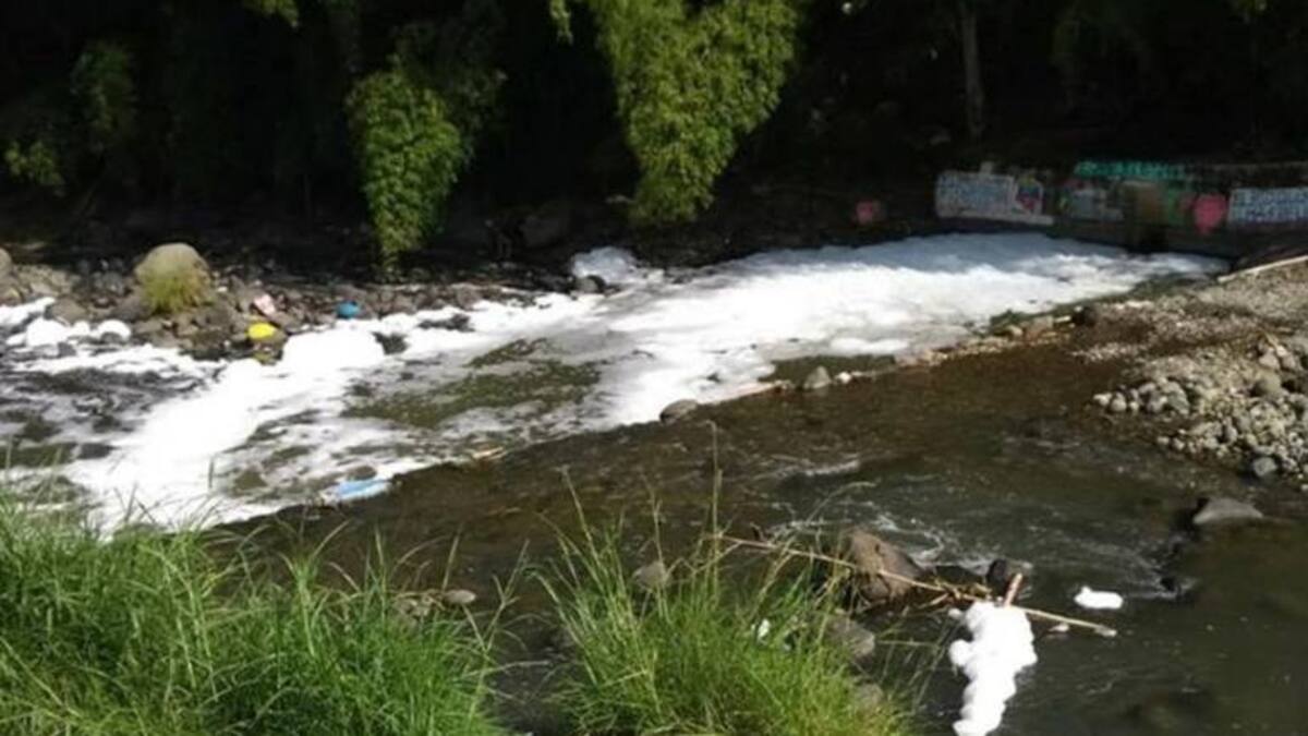 En cinco días se conocerán los resultados sobre la espuma que apareció en río Quindío