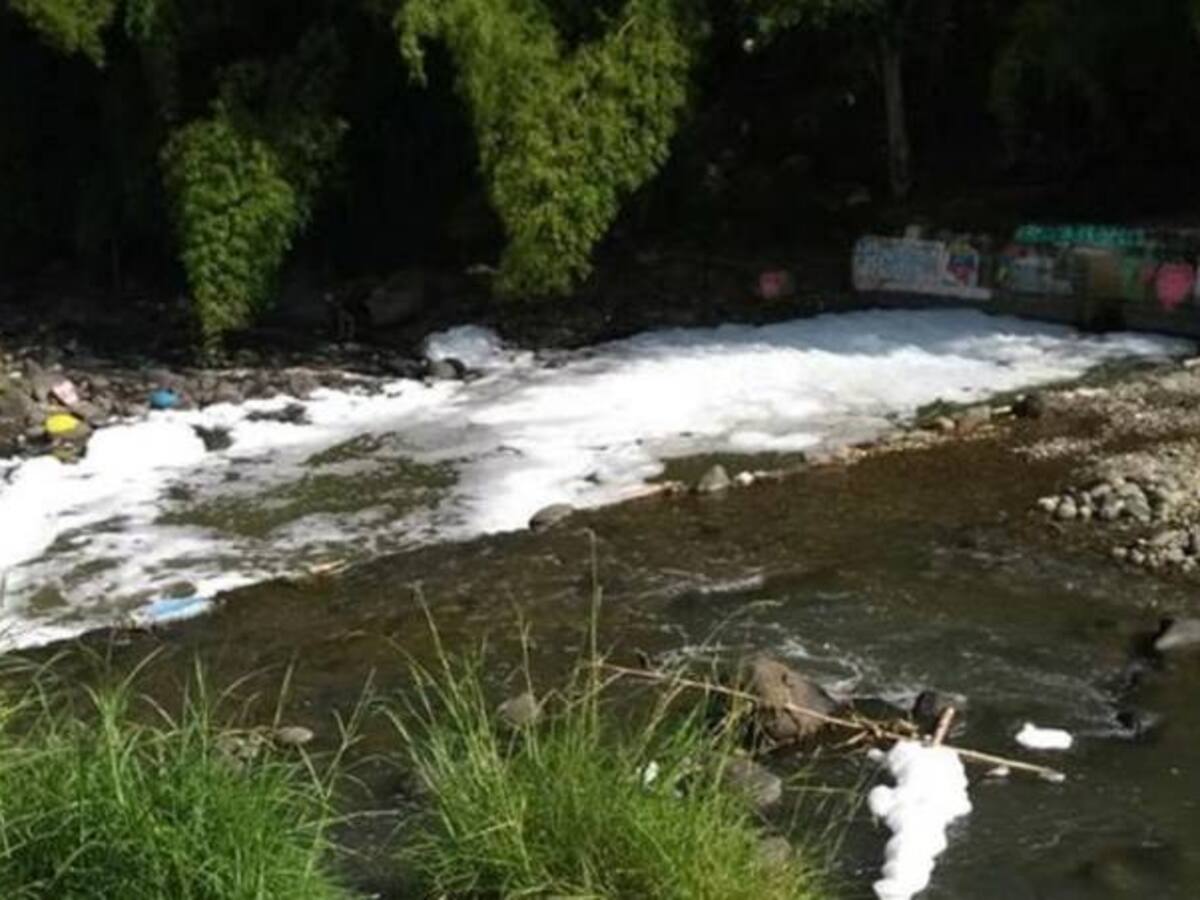 En cinco días se conocerán resultados sobre espuma que apareció río Quindío