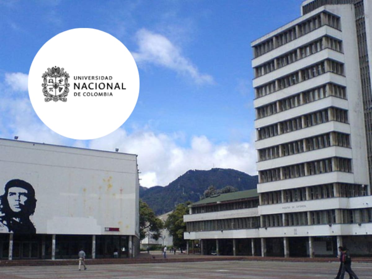 Comunidades del norte del Cauca ingresan a la Universidad Nacional y exigen diálogo con el Gobierno