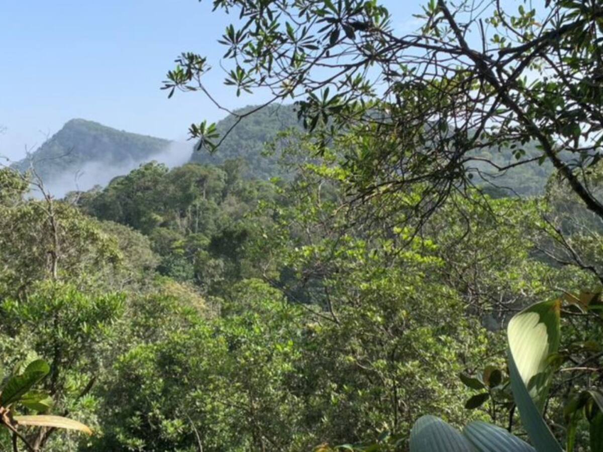 Expedición Murrucucú registró 25 nuevas especies de aves en Córdoba