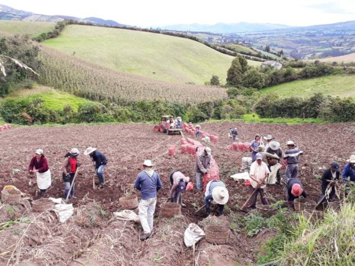 Ospina, Nariño protege el Páramo Paja Blanca