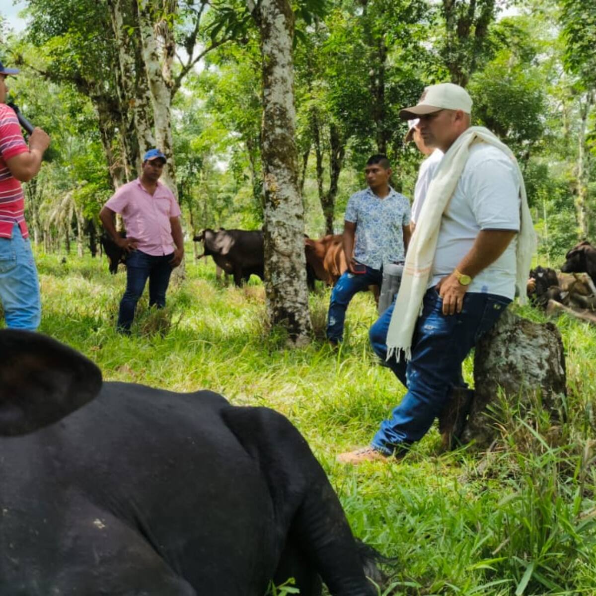 Ganaderos del Caquetá avanzan en la creación de reservas naturales para una producción sostenible