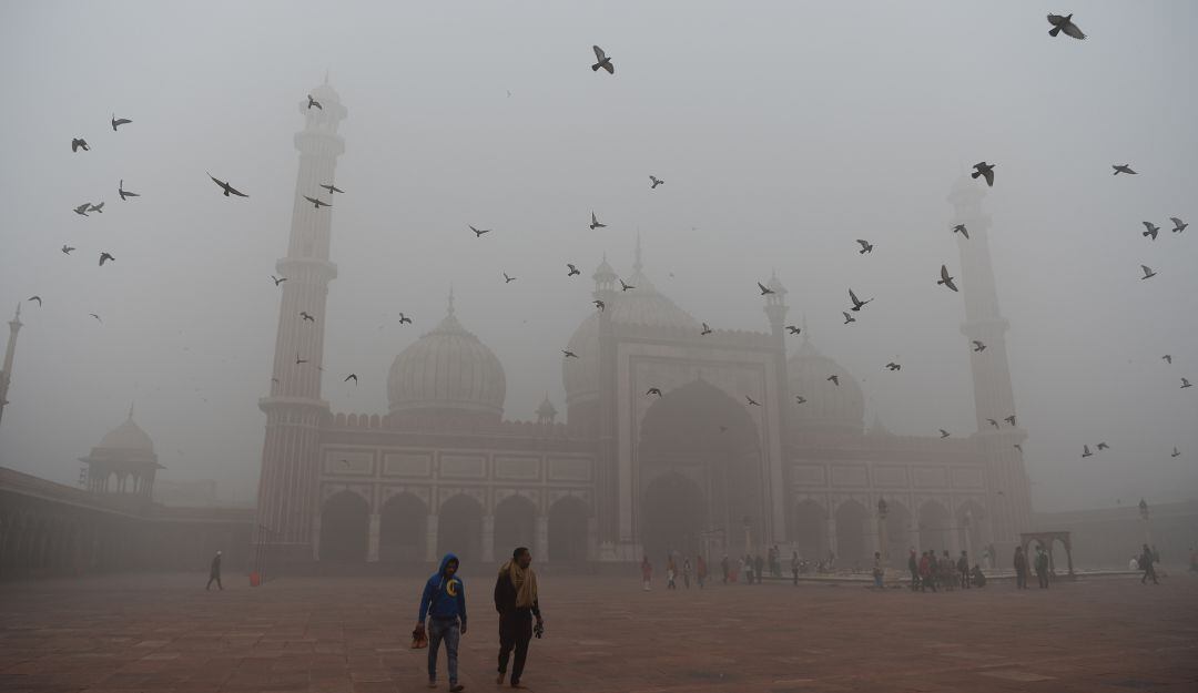 Neblina de contaminación en Nueva Delhi (India). 