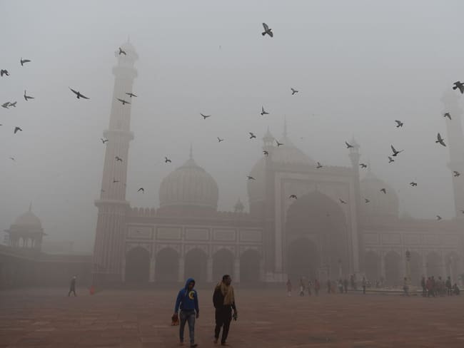 Neblina de contaminación en Nueva Delhi (India). 
