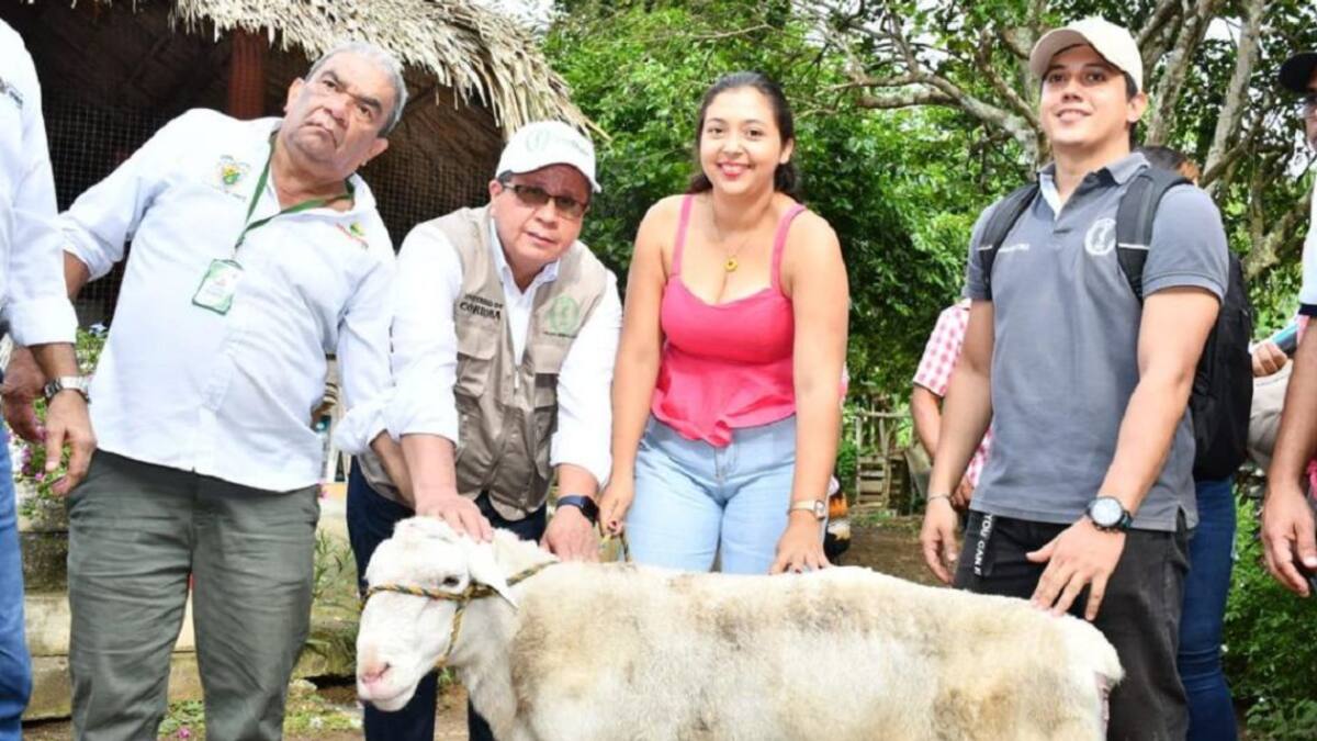 La Unicórdoba y el programa de seguridad alimentaria para familias campesinas