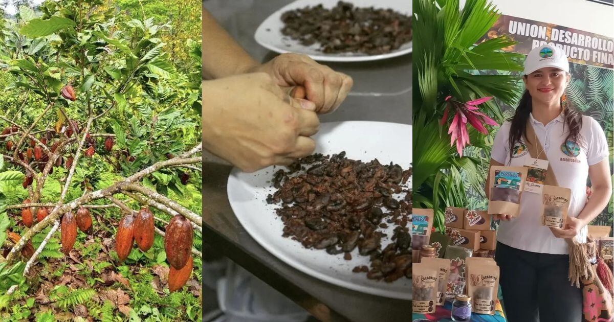 Ella es Heidy Oliveros, quien comenzó a capacitarse en procesos de transformación del cacao y hoy aprovecha partes de la mazorca que normalmente son consideradas residuos. “De un árbol de cacao todo sirve”, afirma. | Foto: Pato Chocolat