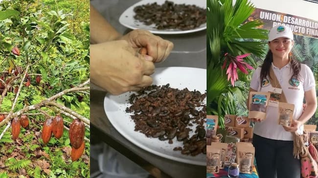 Ella es Heidy Oliveros, quien comenzó a capacitarse en procesos de transformación del cacao y hoy aprovecha partes de la mazorca que normalmente son consideradas residuos. “De un árbol de cacao todo sirve”, afirma. | Foto: Pato Chocolat