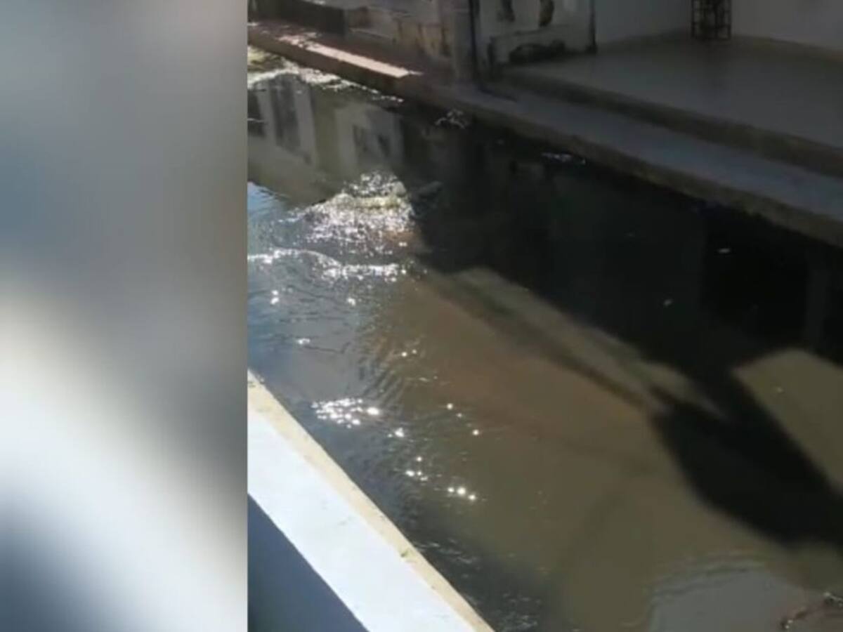 Emergencia sanitaria por desbordamiento de alcantarilla en La Pradera