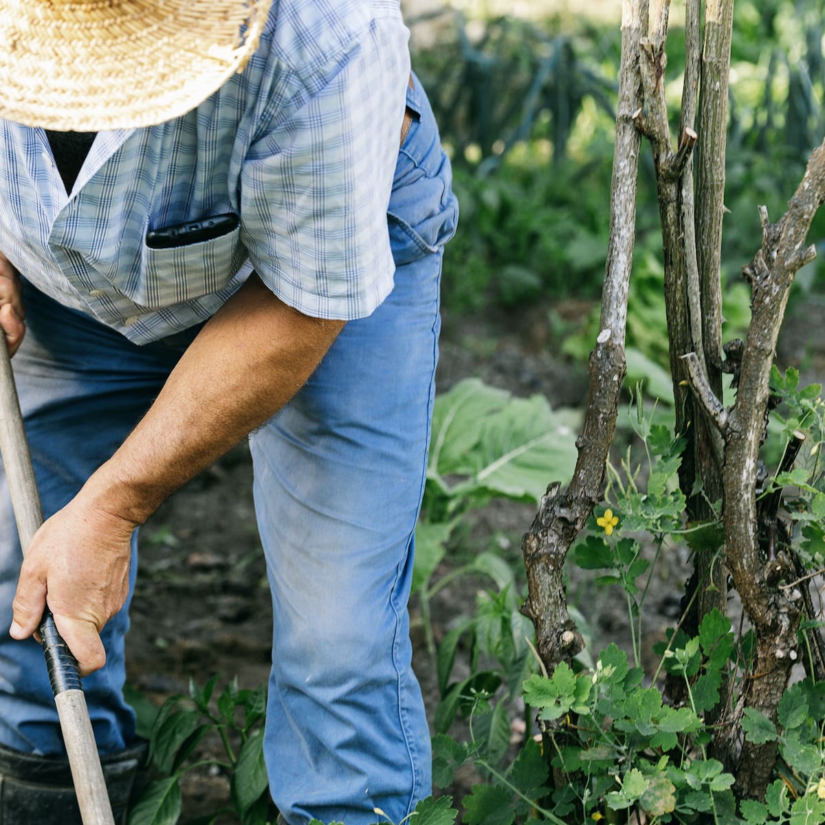 MinAgricultura rechaza eliminar las APPA: niega expropiaciones y alerta por riesgo alimentario