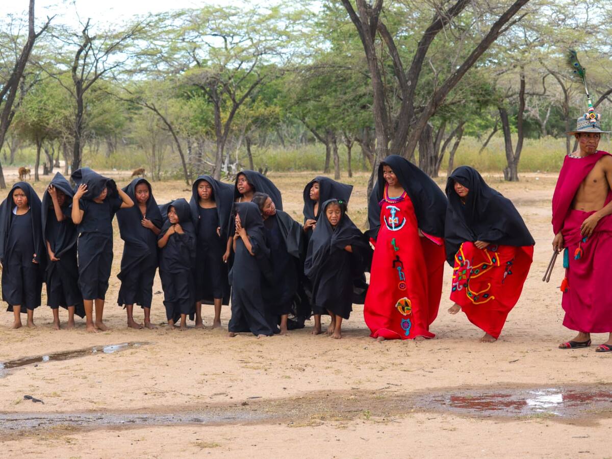 “En un año se logró lo que no se hizo en generaciones”: profesor sobre Misión La Guajira