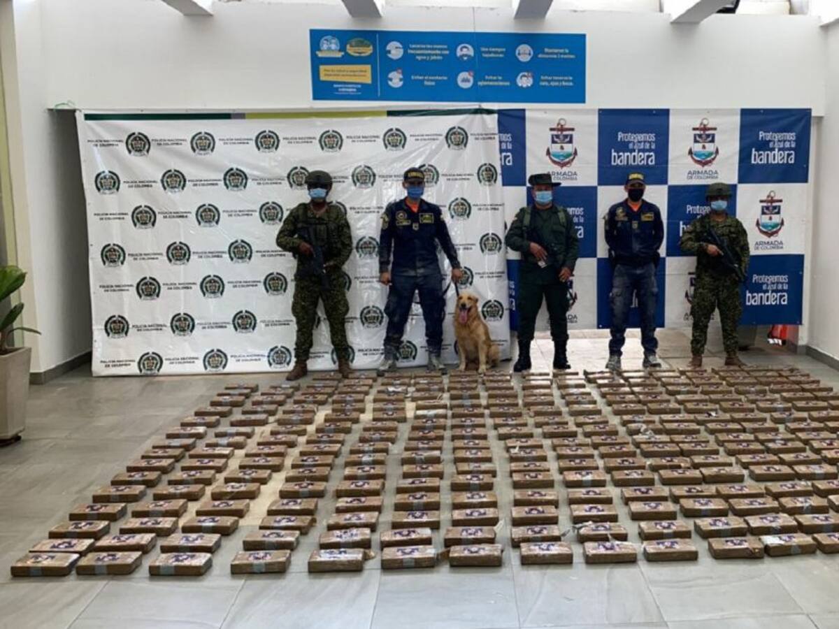 Hallaron 269 kilos de cocaína ocultos en un contenedor en Cartagena