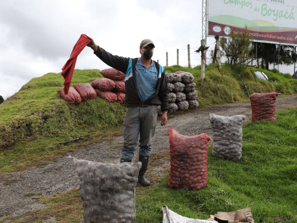 A la carretera han salido cultivadores de papa a 'regalar' el producto