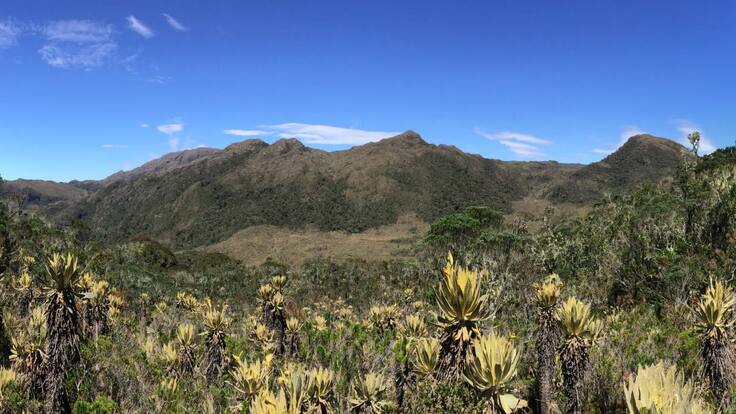 Científicos de Colombia y Reino Unidos investigan los páramos