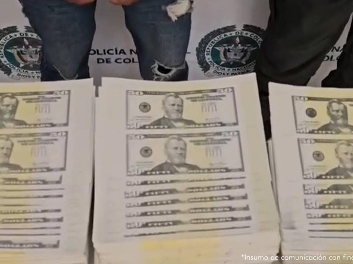 Cayó el líder de sofisticada red de falsificación de dólares en la frontera con Ecuador
