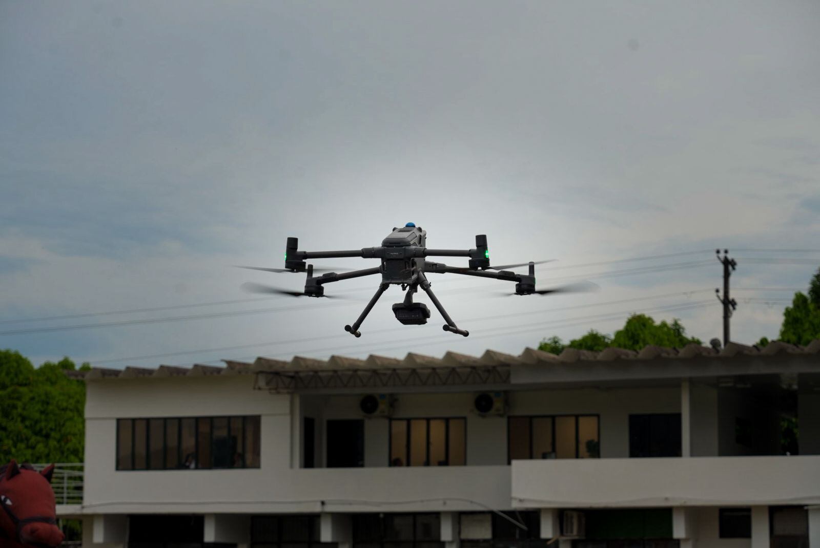Vuelos lineales que supera los 40 kilómetros. Foto Gobernación Caquetá.