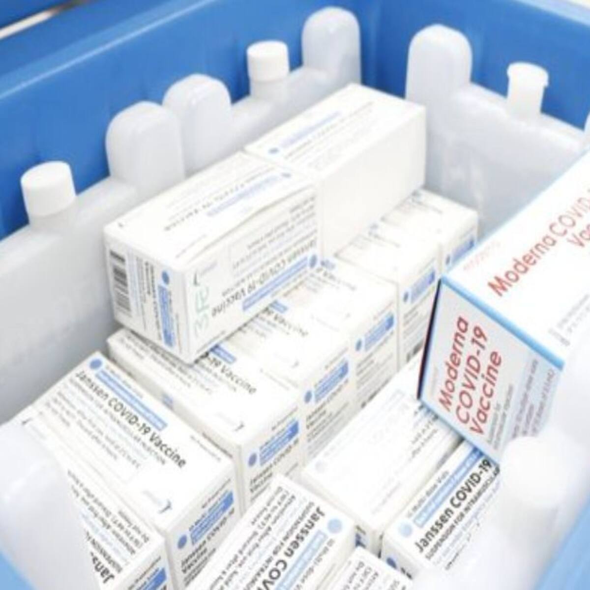 Más de 86.000 vacunas disponibles para Semana Santa en Bucaramanga