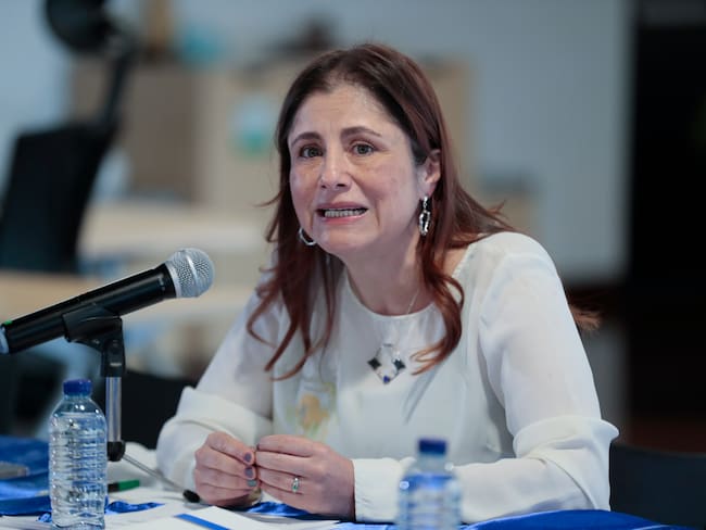 BOG400 BOGOTÁ (COLOMBIA) 09/09/2024.- La defensora del pueblo, Iris Marín, habla durante una rueda de prensa este lunes, en Bogotá (Colombia). Marín priorizará la violencia de género y la discriminación contra las mujeres como uno de los principales ejes de su agenda, que desarrollará durante cuatro años de gestión. EFE/ Carlos Ortega